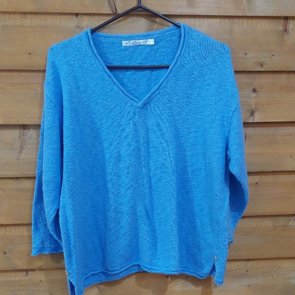 Lulu B Blue V-Neck Sweater Size L/XL